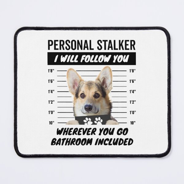 Item preview, The Disapproving Stalker of the Corgis – Furry Tricolor Corgi designed and sold by More Cute Dogs.
