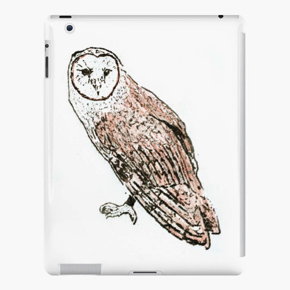 Barn Owl Ipad Case Skin By Petercoleman Redbubble