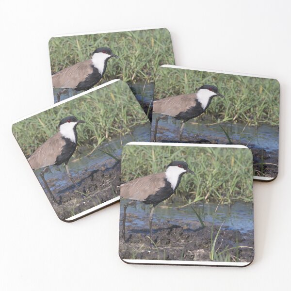 Item preview, Spur Winged Lapwing designed and sold by LaurenTucker.
