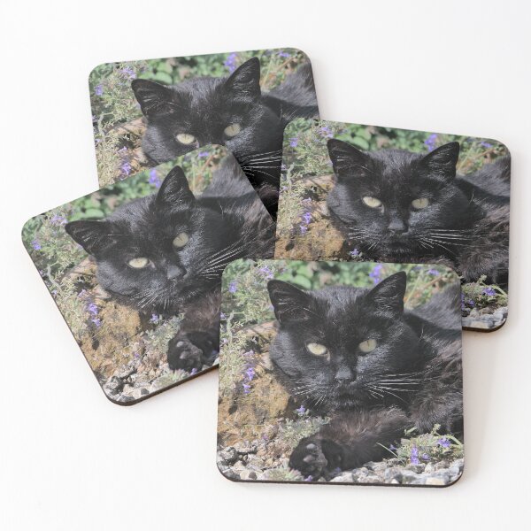 Item preview, r3046/    Chat-Cat  " Tic-Tac - un Amour de chat de la rue - le Bien aimé "  finition 2020 par Okaio Créations - Olavia&Olao  designed and sold by o.okaïo.