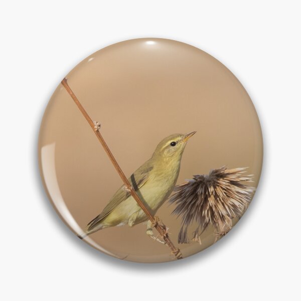 Item preview, Eastern Olivaceous Warbler designed and sold by LaurenTucker.
