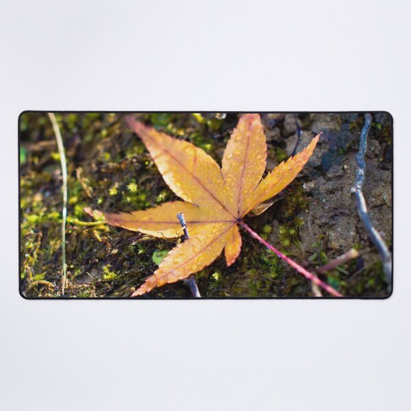 Item preview, Photography - Lonely leaf designed and sold by Karolien Kenis.