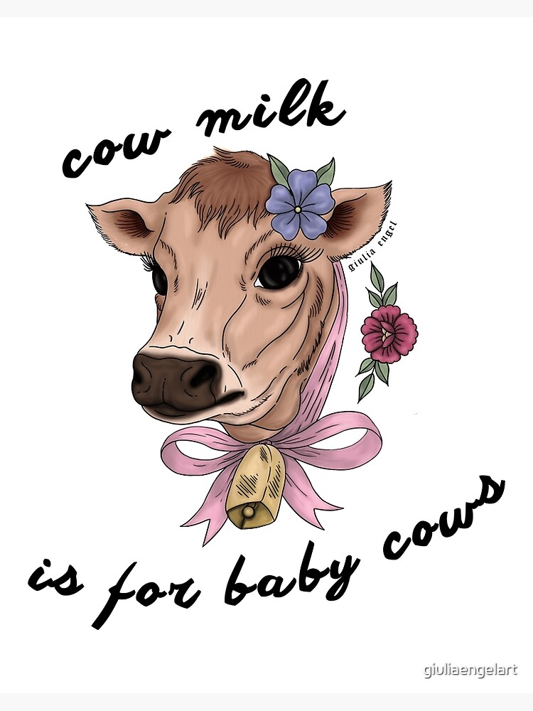 cow milk for baby