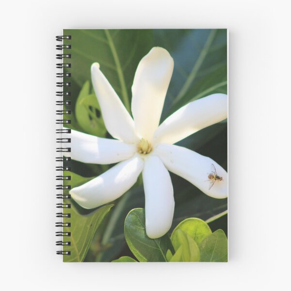 Item preview, Hawaii flower  designed and sold by CourtnayD.