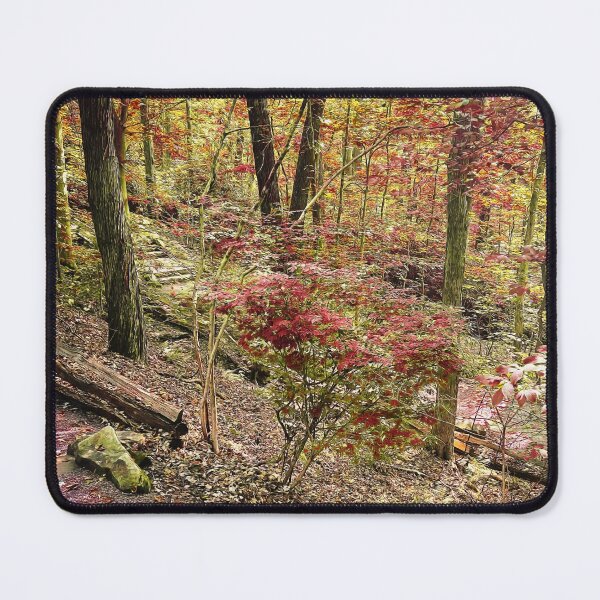 Item preview, Switchback designed and sold by Steve Walser.