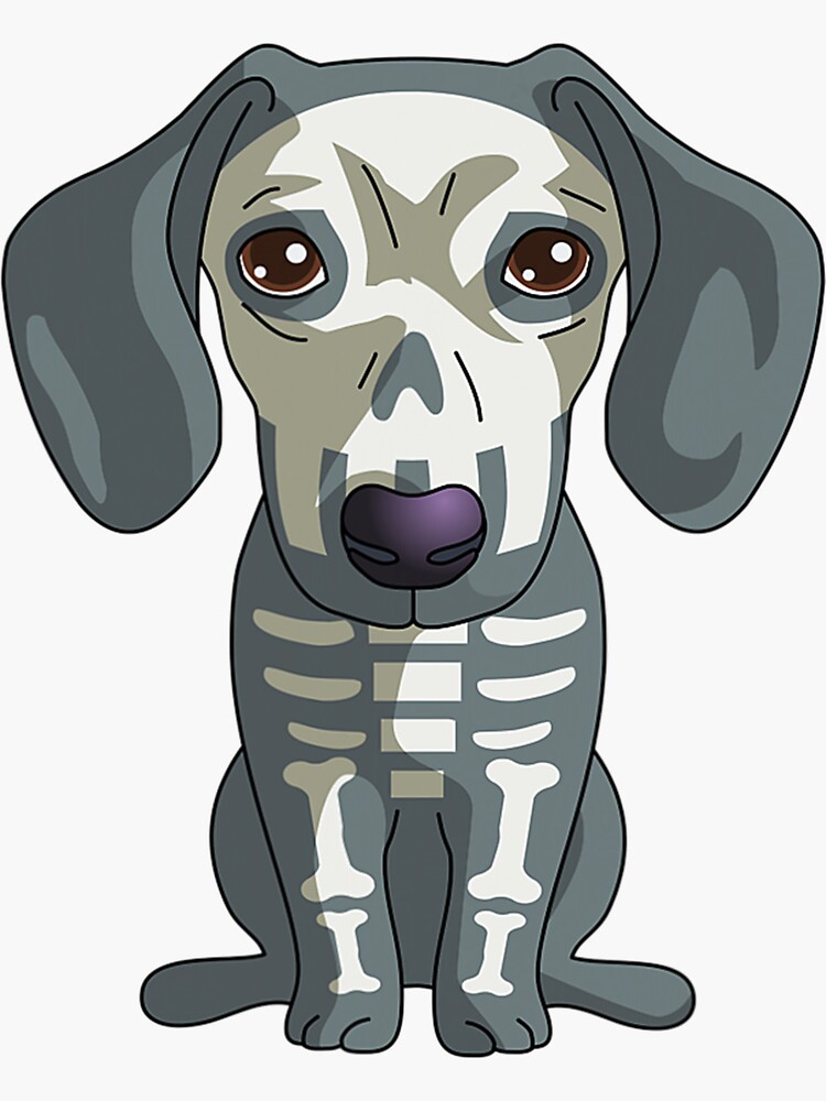 "Dachshund Skeleton" Sticker for Sale by McDermottArt Redbubble