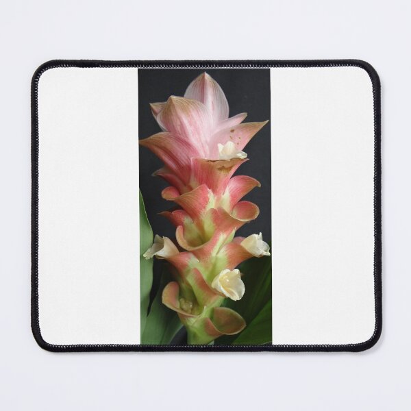 Item preview, Maejo Impress Pink Durable flowers in a vase Can be decorated anywhere, anytime. Thailand export flower designed and sold by greengoodnich.