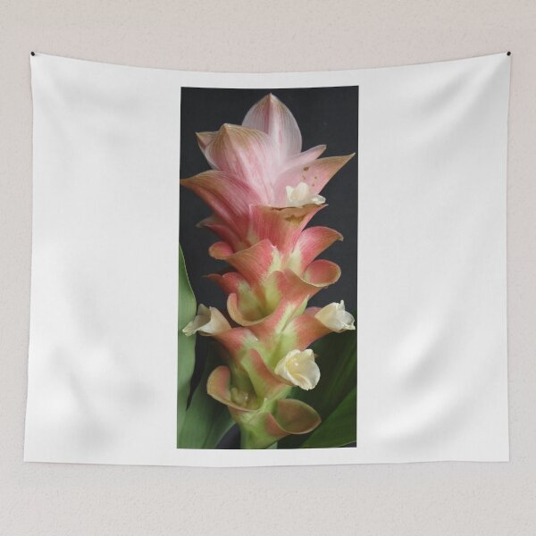Item preview, Maejo Impress Pink Durable flowers in a vase Can be decorated anywhere, anytime. Thailand export flower designed and sold by greengoodnich.