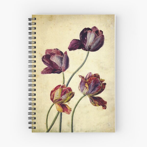 Item preview, Fantastic Tulips! Illustration 1820s. designed and sold by LoveVintageToo.