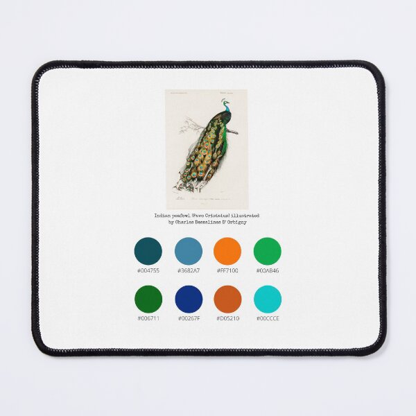 Item preview, Colour Palette of Indian peafowl (Pavo Cristatus) illustrated by Charles Dessalines D' Orbigny designed and sold by CoffeewithAnh.