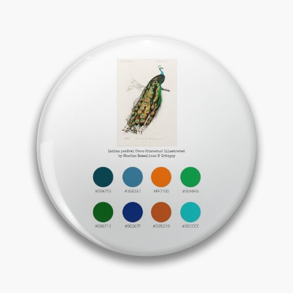 Item preview, Colour Palette of Indian peafowl (Pavo Cristatus) illustrated by Charles Dessalines D' Orbigny designed and sold by CoffeewithAnh.