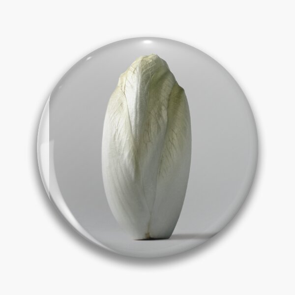 Item preview, Belgian endive designed and sold by Barbara  Corvino.