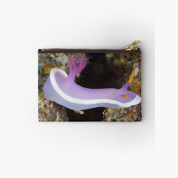 Item preview, Nudibranch - Hypselodoris sp. designed and sold by Andrew Trevor-Jones.