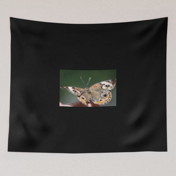 Item preview, Common Buckeye Junonia Coenia designed and sold by Henrik Lehnerer.