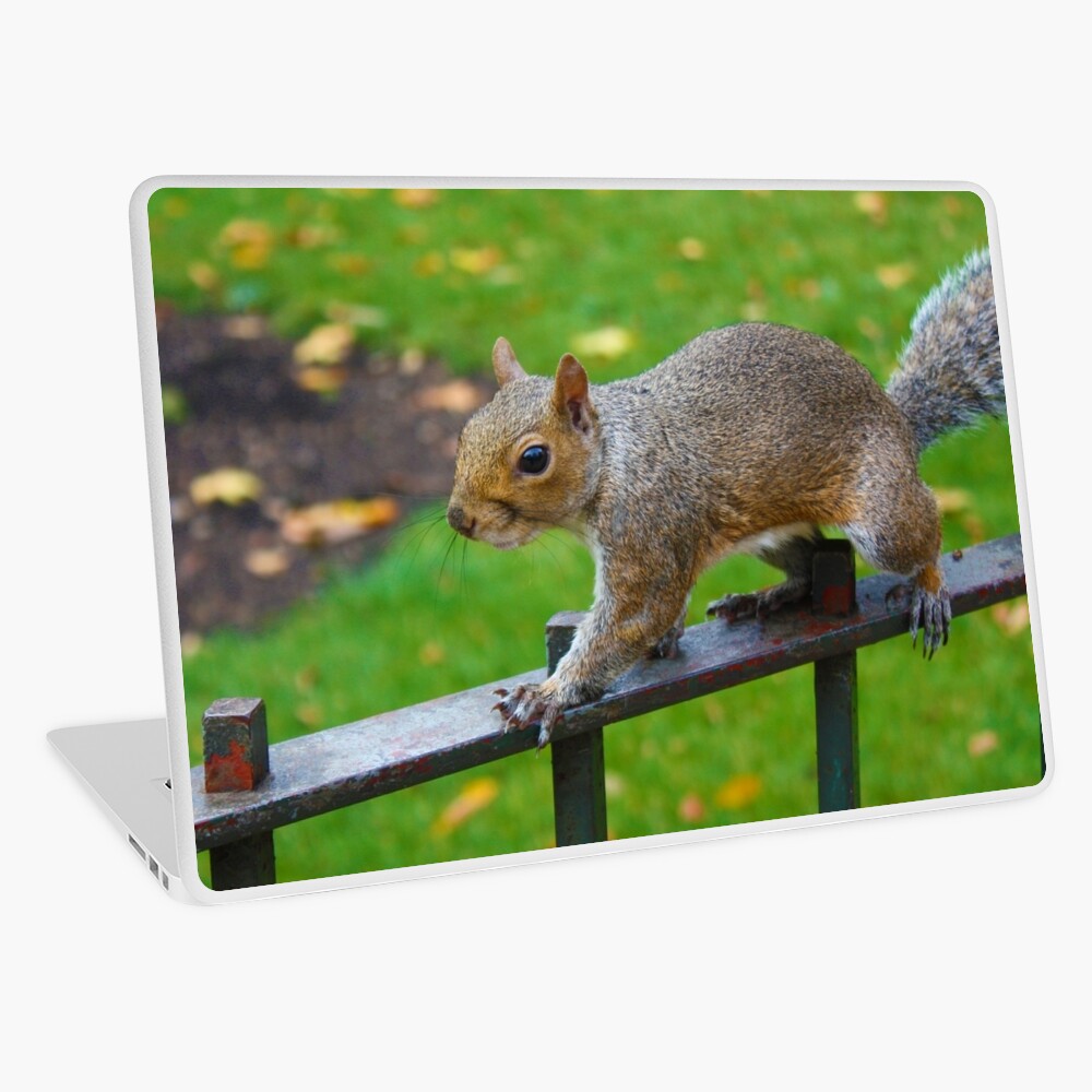 Item preview, Laptop Skin designed and sold by JazzK.