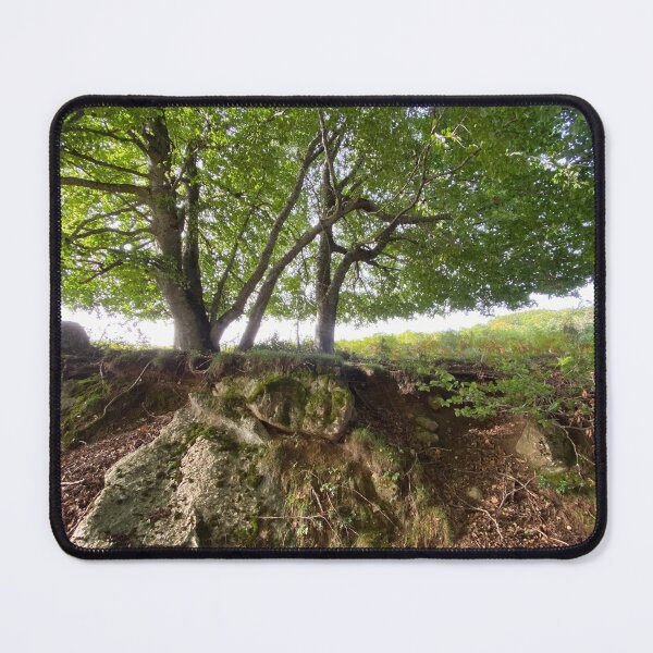 Item preview, Under the protection of a tree designed and sold by AHELENE.