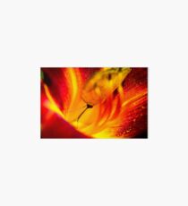 Cloudless Sulphur Phoebis Sennae Art Board