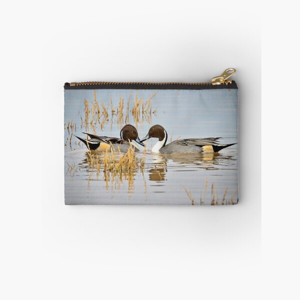 Item preview, A Pair of Northern Pintail Ducks  designed and sold by Saija  Lehtonen.