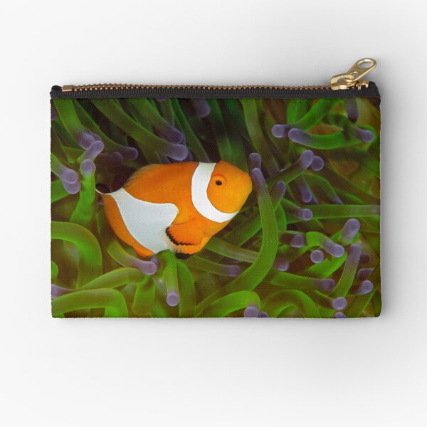 False Clown Anemonefish - Amphiprion ocellaris Zipper Pouch