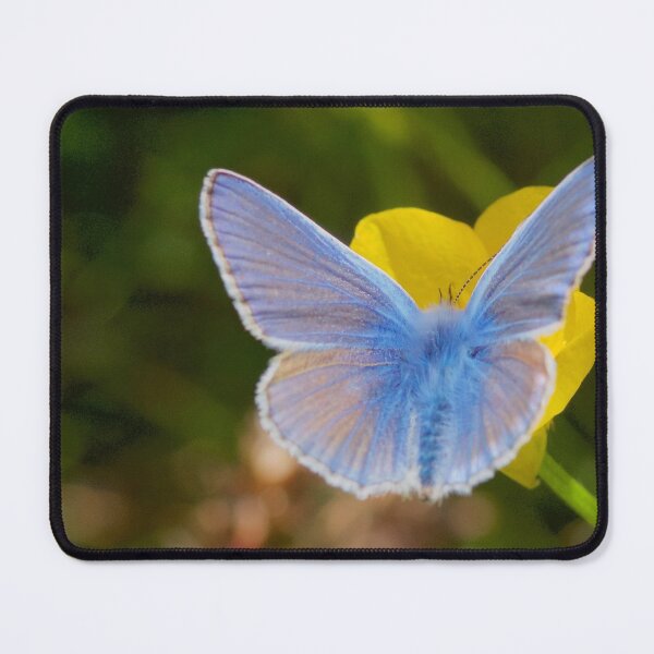 Item preview, BRILLIANT BLUE JUST FOR YOU! designed and sold by NICK COBURN PHILLIPS.