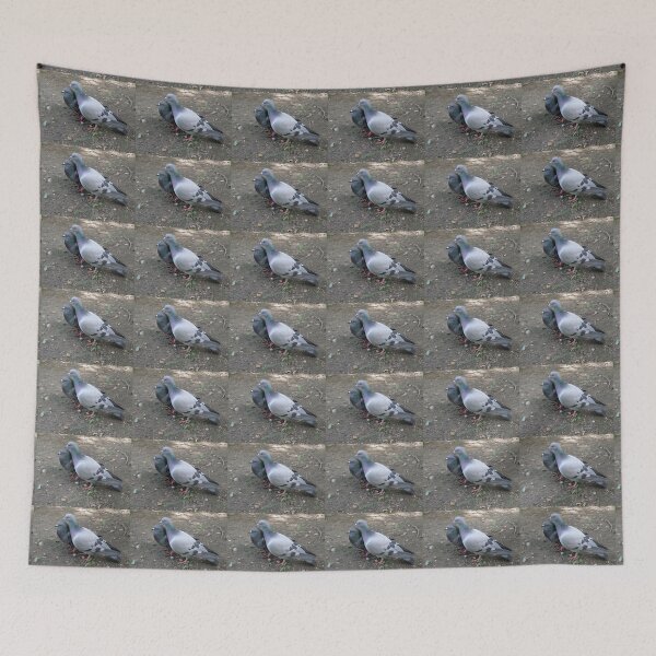 Item preview, Lovey Dovey Canoodling Pigeon Couple Photograph designed and sold by naturegallery.