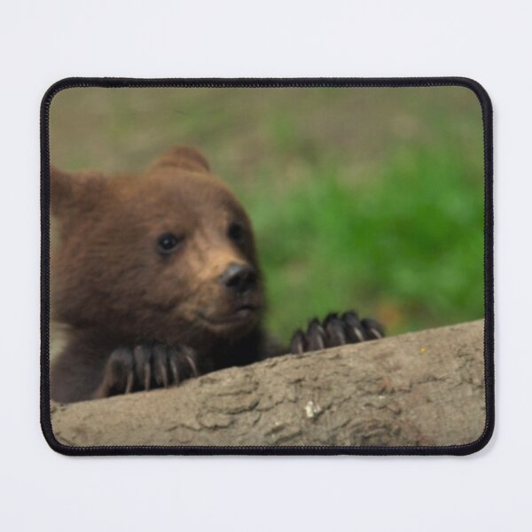 Item preview, bear designed and sold by Billlogan.