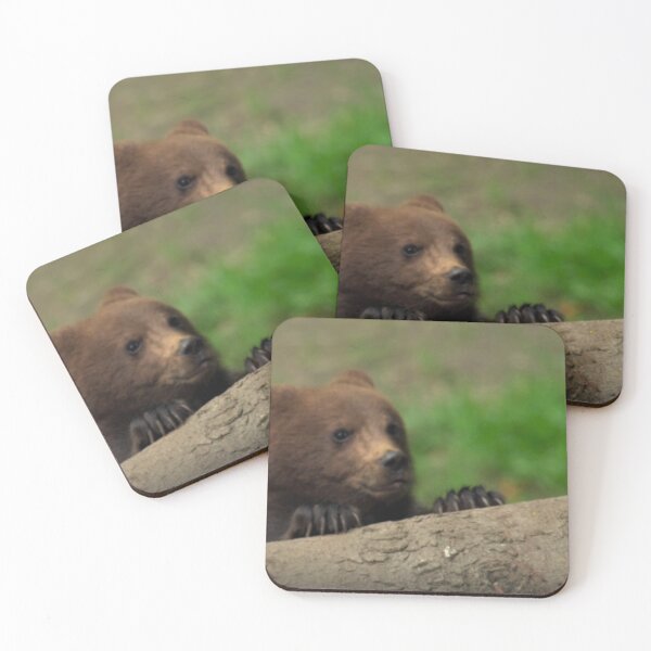 Item preview, bear designed and sold by Billlogan.