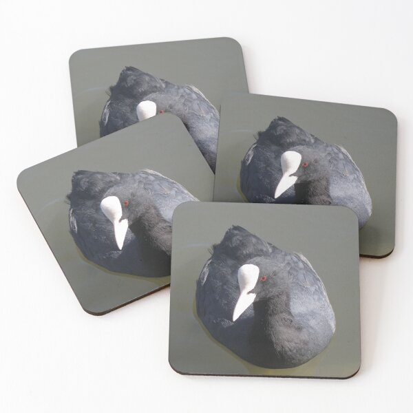Item preview, Coot Swimming on the Lake designed and sold by naturegallery.