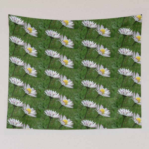 Item preview, Pink Tipped  Daises Taken Uplyme.Devon UK designed and sold by lynn carter.