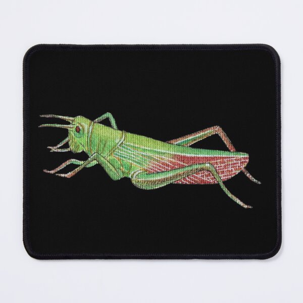 Item preview, Watercolor Grasshopper designed and sold by euniza.