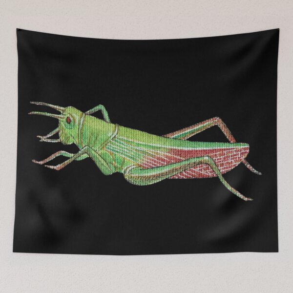 Item preview, Watercolor Grasshopper designed and sold by euniza.