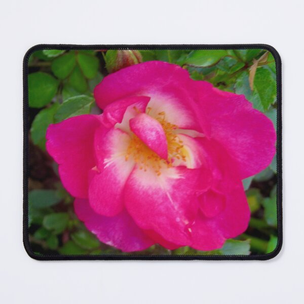Item preview, Small pink rose designed and sold by Shulie1.
