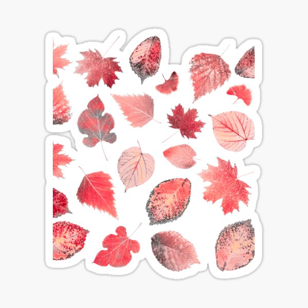 Item preview, Color Pop Poster Autumn leaves   designed and sold by Artystico  ⭐⭐⭐⭐⭐.
