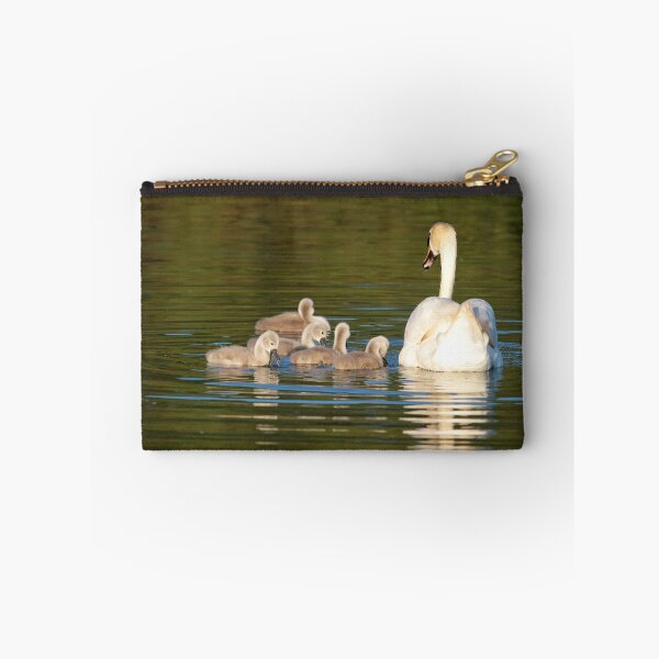 Item preview, Cygnets with Mother Swan at Cleator Pond designed and sold by Jan Fialkowski.