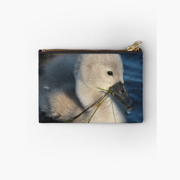Item preview, Feeding time for baby Cygnet ~ Cleator Pond designed and sold by Jan Fialkowski.