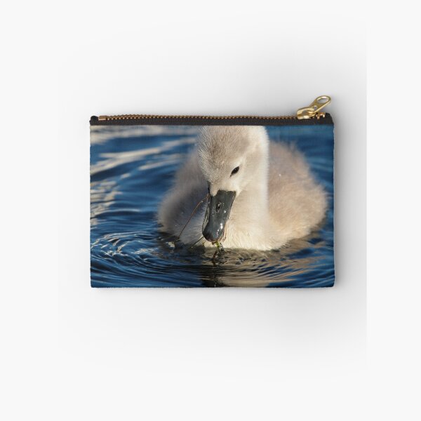 Item preview, Cygnet Feeding on Cleator Pond designed and sold by Jan Fialkowski.