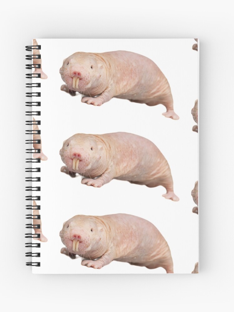 Cuaderno De Espiral Rata Topo Desnuda De Eetlaa Redbubble