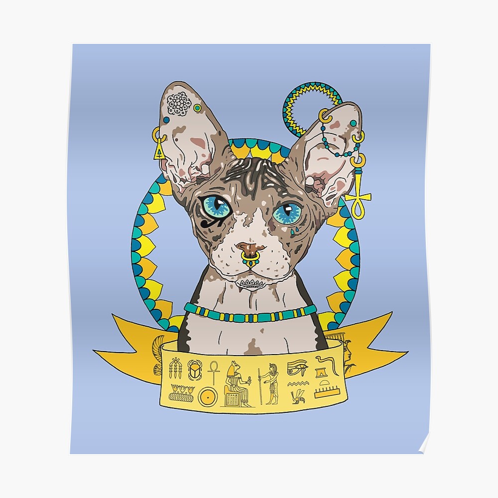 Poster Illustration Du Chat Sphinx Egyptien Par lane Redbubble