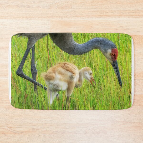 Item preview, Teaching baby to find food designed and sold by Joe Saladino.