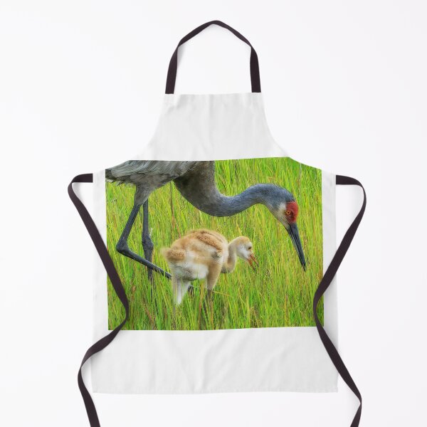 Item preview, Teaching baby to find food designed and sold by Joe Saladino.