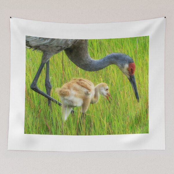 Item preview, Teaching baby to find food designed and sold by Joe Saladino.