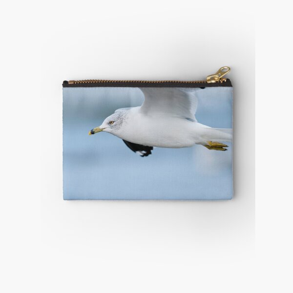 Item preview, Ring-Billed Gull designed and sold by (Tallow) Dave  Van de Laar.