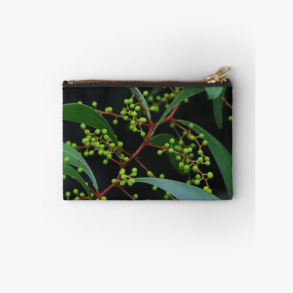Item preview, Acacia macradenia designed and sold by andrachne.