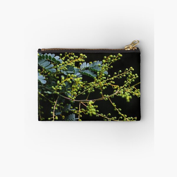 Item preview, Acacia spectabilis  designed and sold by andrachne.