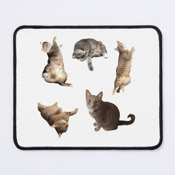 Item preview, Chill cat - sleepy cat fun designed and sold by LoonyM.