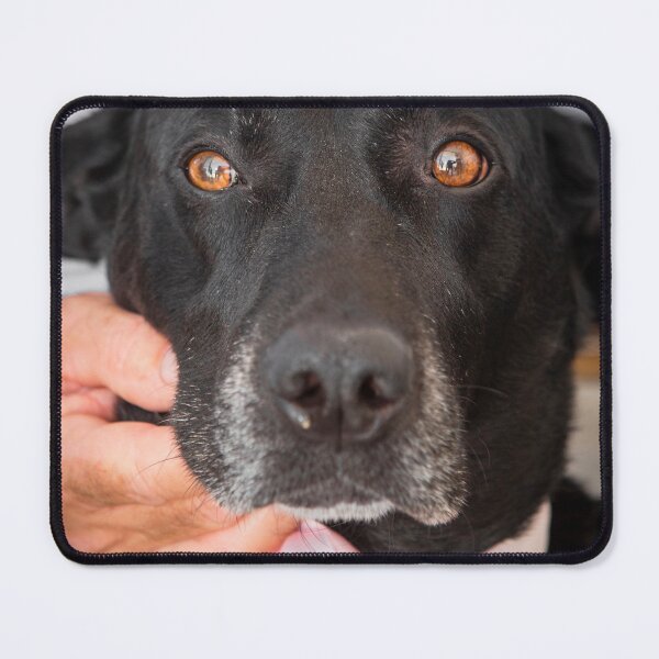 Item preview, Man's Best Friend designed and sold by William A McCarthy.