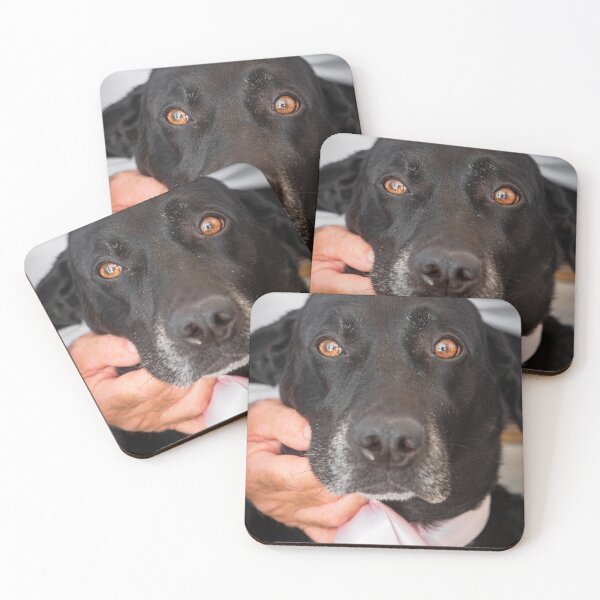 Item preview, Man's Best Friend designed and sold by William A McCarthy.