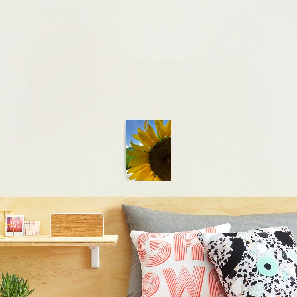 Item preview, Photographic Print designed and sold by Roccodile.