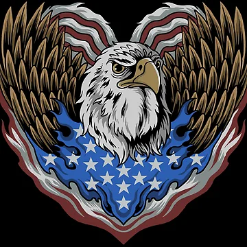 Artwork thumbnail, Bald eagle by PerfectLoop