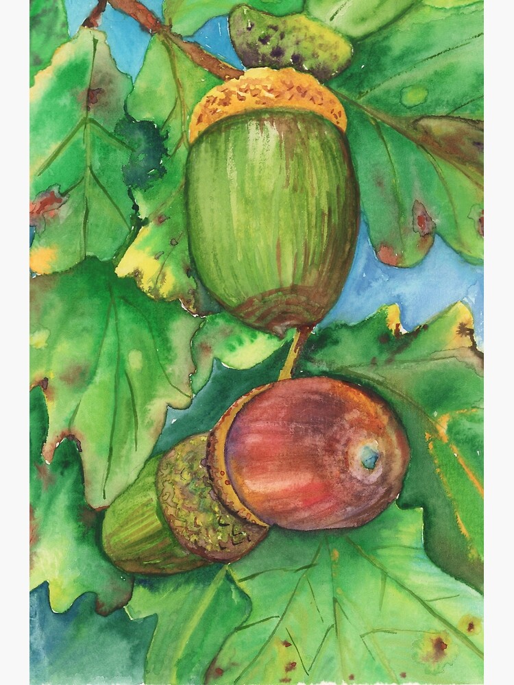 Acorns by Artoutloop